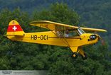 HB-OCI - Piper J-3C-65 Cub (L-4 Grasshopper)