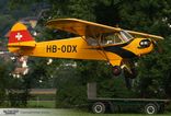 HB-ODX - Piper J-3C-65 Cub (L-4 Grasshopper)